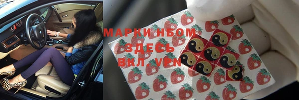 apvp Алзамай
