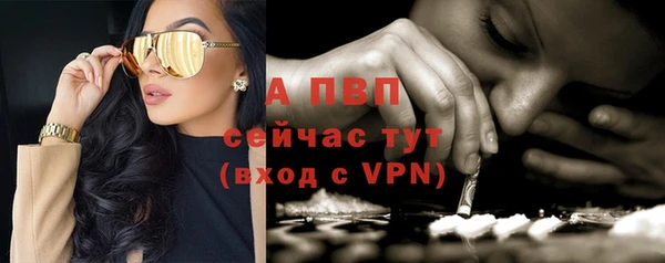 apvp Алзамай