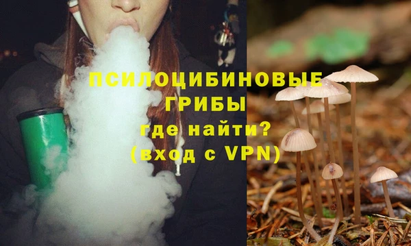 прущая мука Алексин